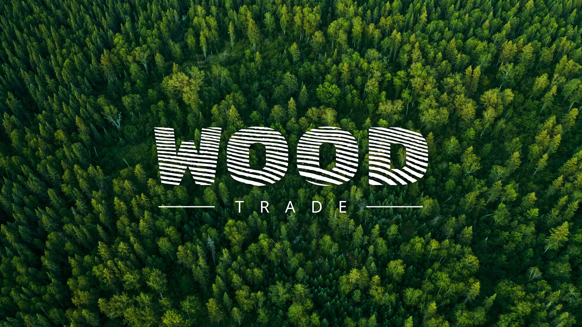 Разработка интернет-магазина компании «Wood Trade» в Ростове-на-Дону